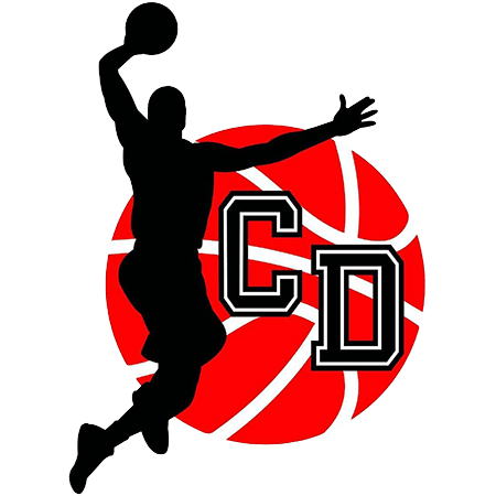 logo basket calolzio