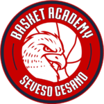 logo basket seveso