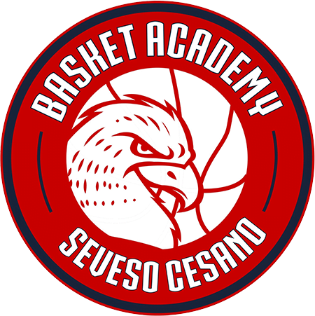 logo basket seveso