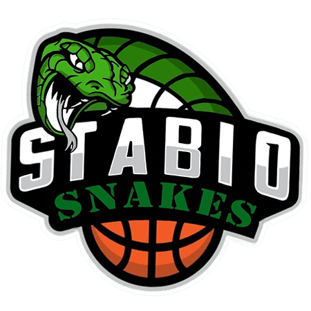 logo basket stabio