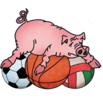 logo basket senna