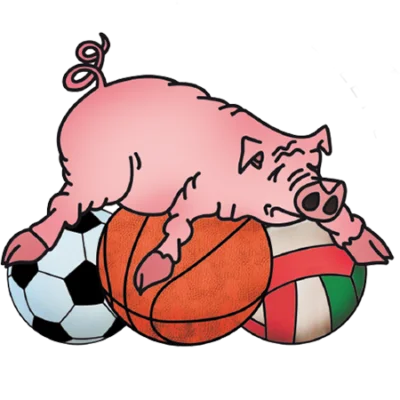 logo basket senna