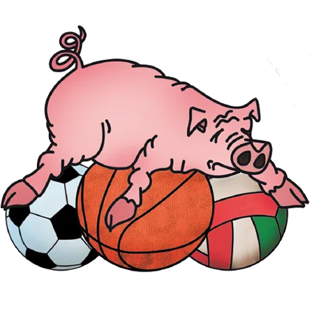 logo basket senna