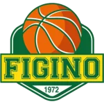 logo basket figino