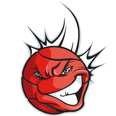 logo basket tavernerio
