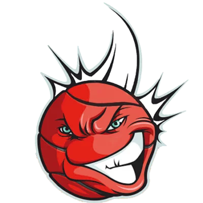 logo basket tavernerio