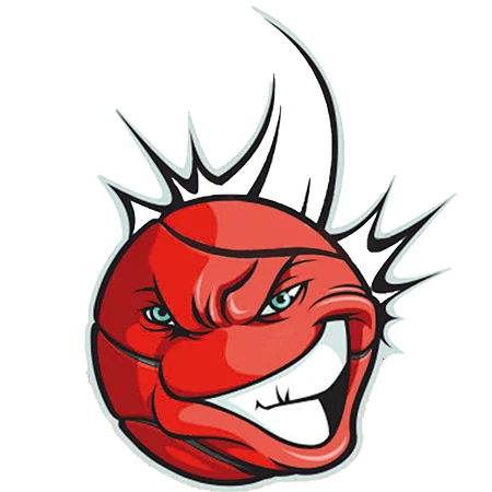 logo basket tavernerio