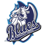 logo minibasket varedo