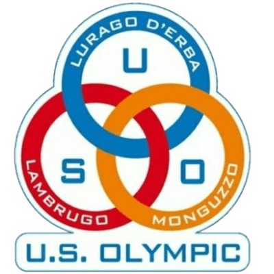 logo basket lurago d'erba