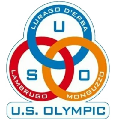 logo basket lurago d'erba