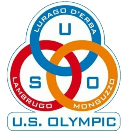 logo basket lurago d'erba