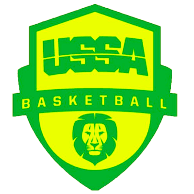 logo basket nova
