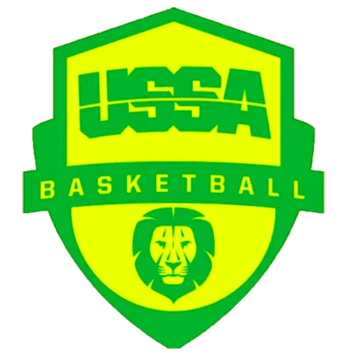 logo basket nova