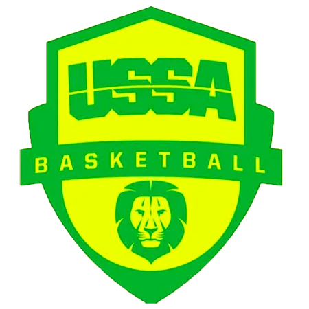 logo basket nova