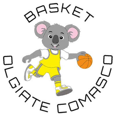 logo basket olgiate