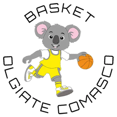 logo basket olgiate